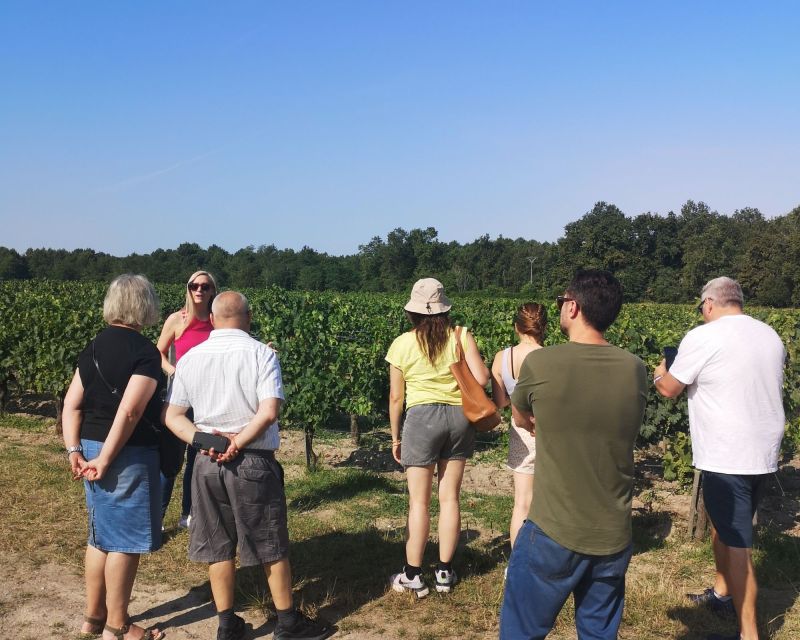 Half-Day in the Médoc From Bordeaux - 2 Wineries and 6 Wines - Itinerary Details