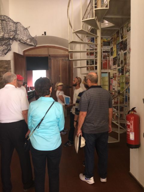 Half Day Island Tour, Best of São Vicente, Highlights - Itinerary Highlights