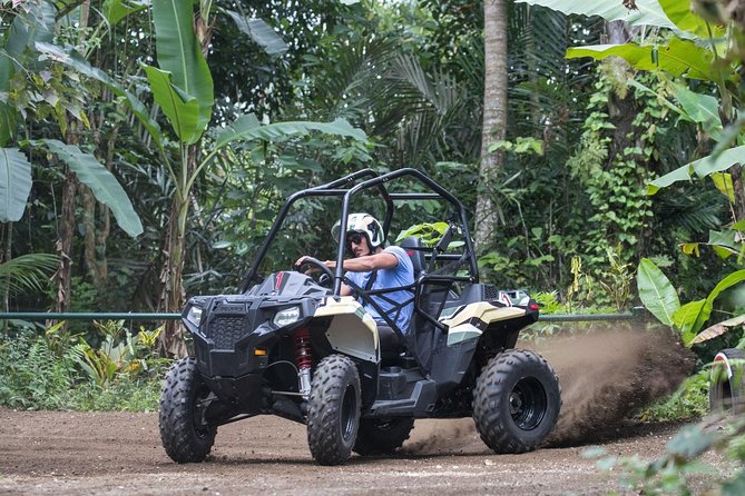 Half Day Jungle Buggies in Bali With Guide - Pickup Locations and Times