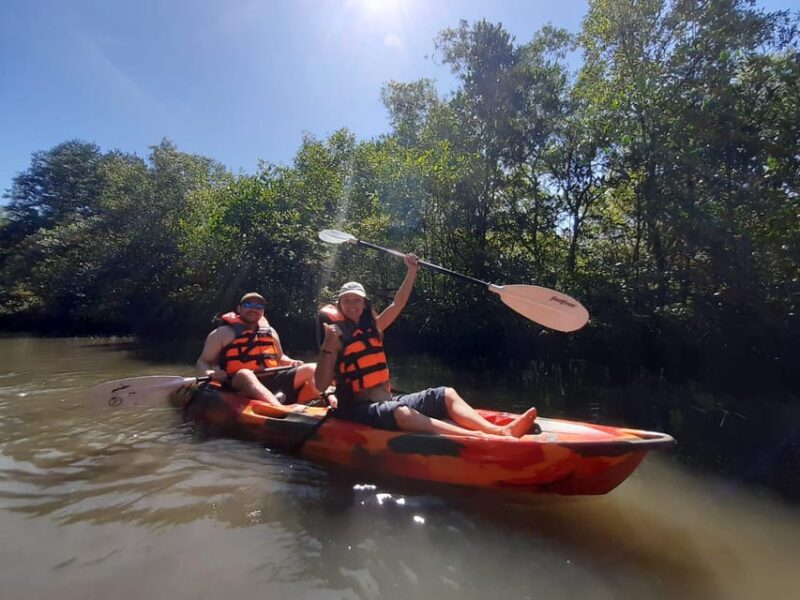 Half Day Kayak Guided Tour to the Green Mangroves Forest - Itinerary Breakdown