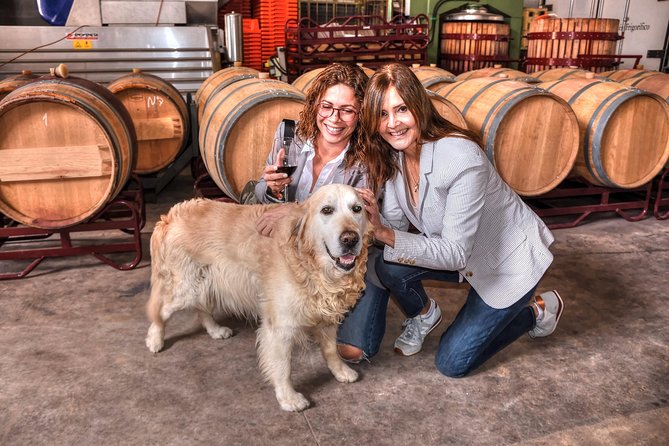 Half Day Rioja Wine Tour - Itinerary and Experience