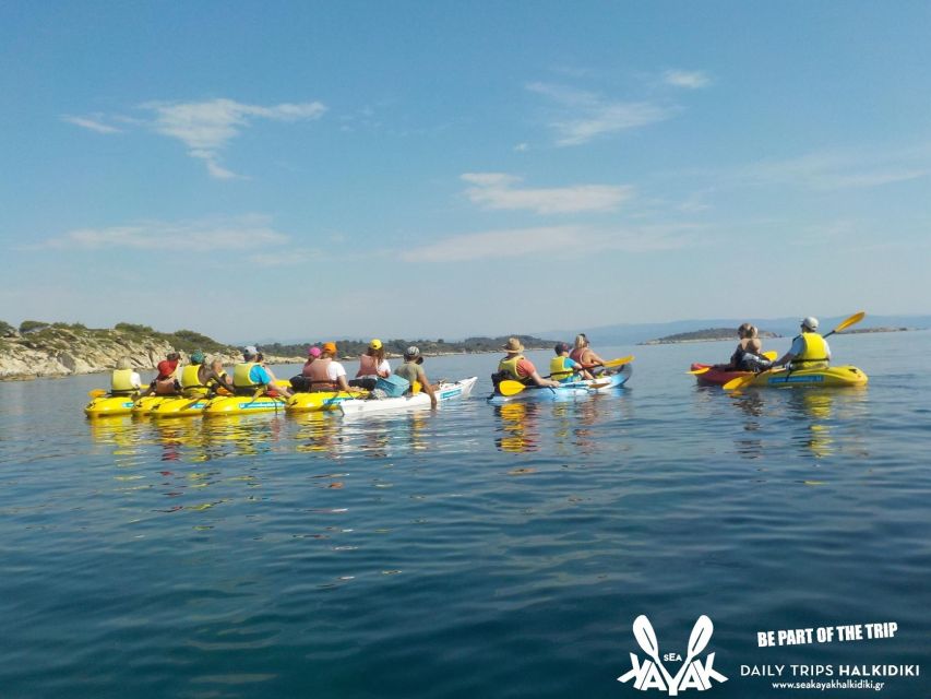 Half Day Sea Kayak Trip - Experience Highlights