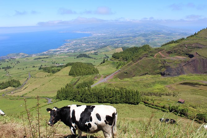 Half Day Sete Cidades PRIVATE Jeep Tour - Tour Inclusions