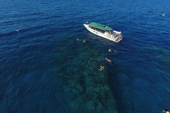 Half Day Snorkel in Lanai Island and Spinner Dolphin Search - Snorkeling Locations