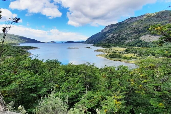 Half-Day Tierra Del Fuego National Park With Train - Southern Fuegian Railway