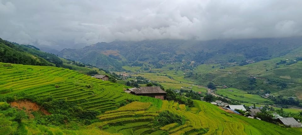 Half Day Visit Y Linh Ho,Lao Chai,Ta Van Trekking With Lunch - Detailed Itinerary