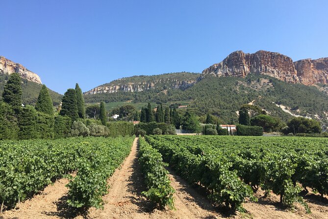 Half Day Wine Tour in Bandol & Cassis From Aix En Provence - Itinerary and Experience