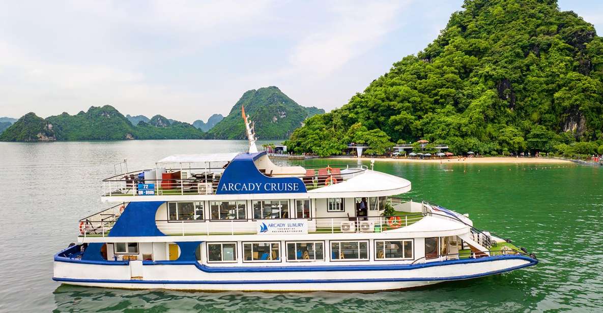 Halong: 5-Star Day Cruise, Buffet Lunch, Kayaking & 2 Caves - Itinerary Highlights