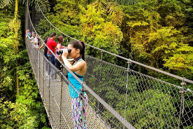 Hanging Bridges & Arenal Volcano With Lunch and Hotsprings - Itinerary