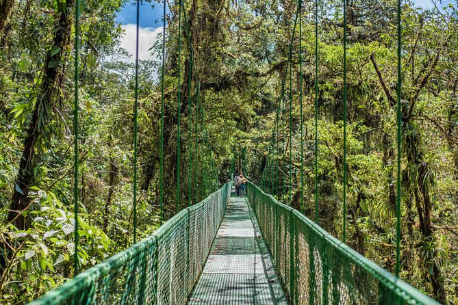 Hanging Bridges & Tour Guide From Monteverde - Suspended Walkways and Bridges