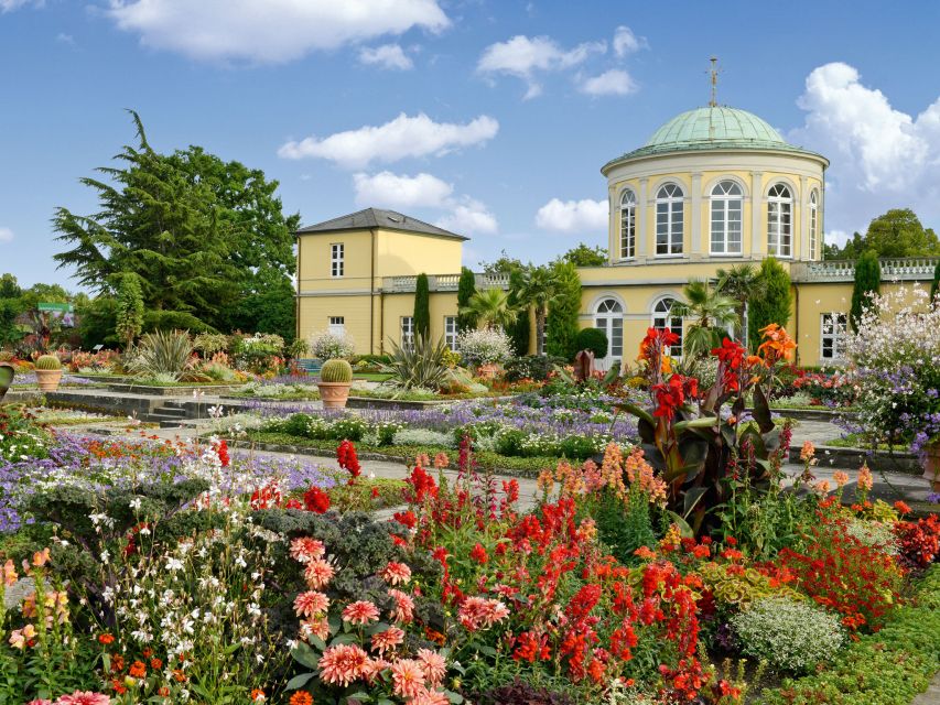 Hannover: Guided Tour of the Berggarten - Botanical Treasures