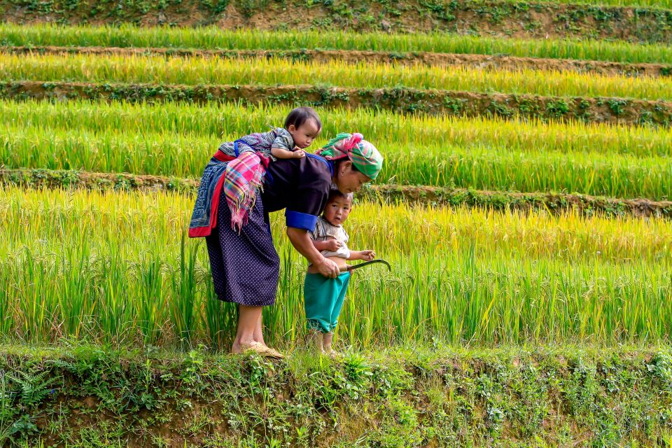 Hanoi: 3-Day Sapa Trek With Homestay - Itinerary Overview