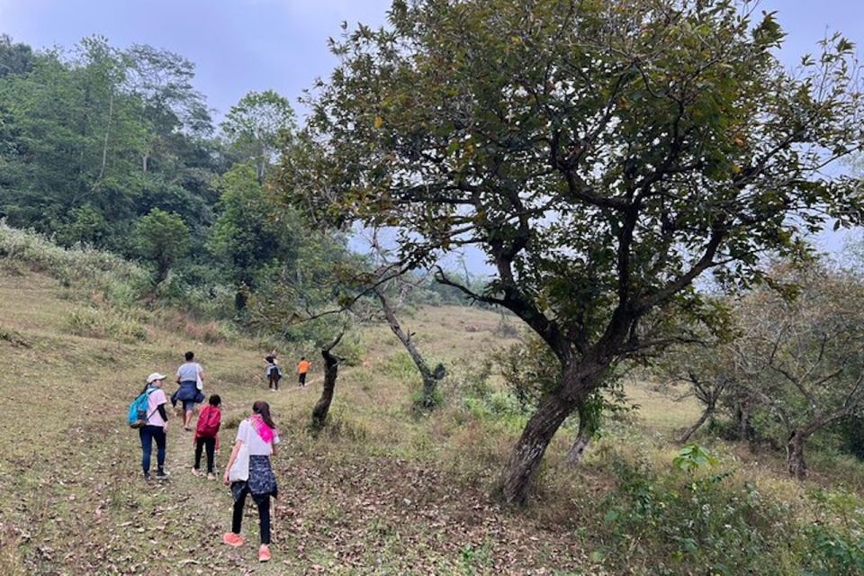 Hanoi: Ban Gioc Waterfall to Hidden Village Trekking Tour - Itinerary Highlights