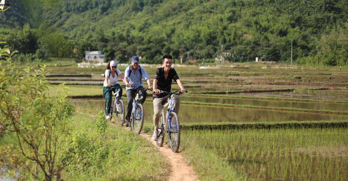 Hanoi: Cycling Tour of Hoa Lu, Trang an With Meals and Guide - Itinerary Details