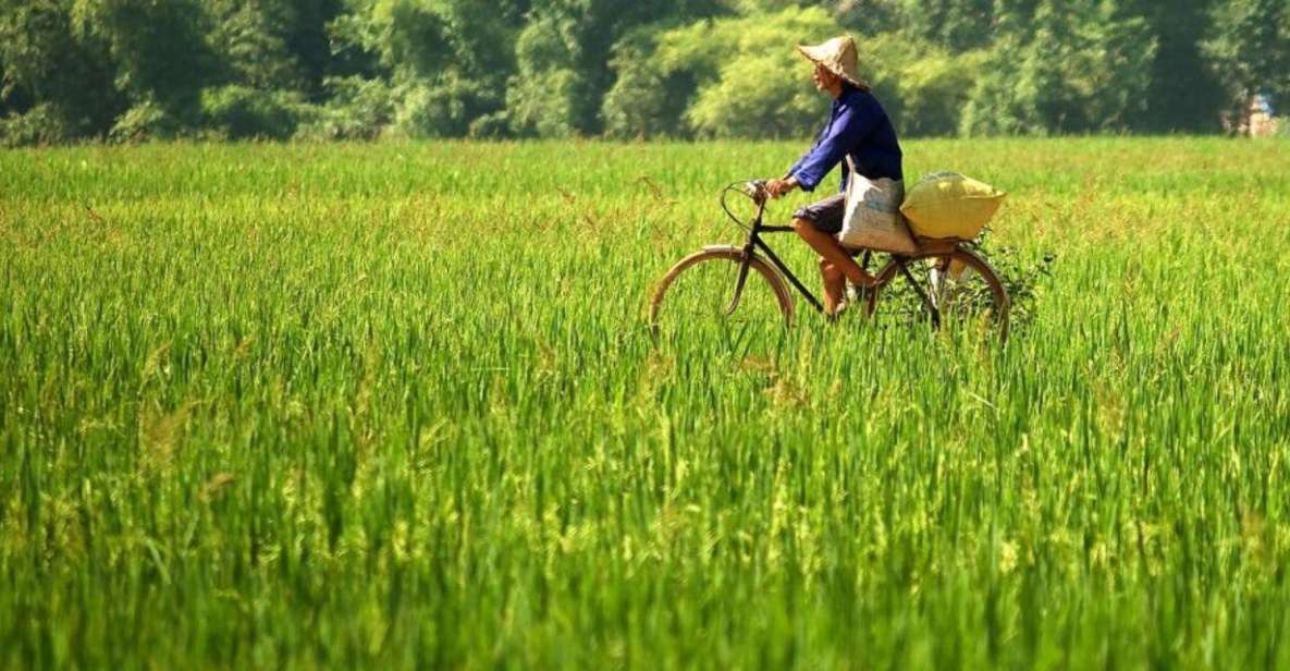 Hanoi: Day Trip to Mai Chau Biking With Lunch & Tranfers - Detailed Itinerary