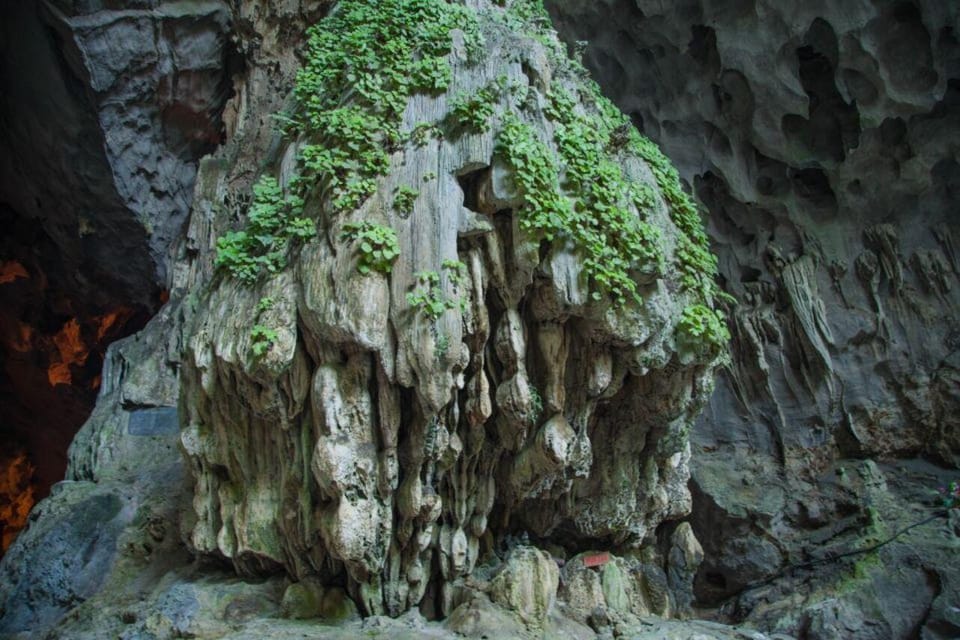 Hanoi: Day Trip to Perfume Pagoda Small-Group Tour - Experience Highlights