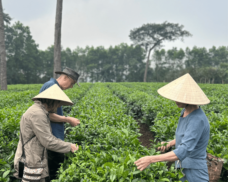 Hanoi Eco Tour: Ba Vi National Park Wonders & Tea Plantation - Itinerary Highlights