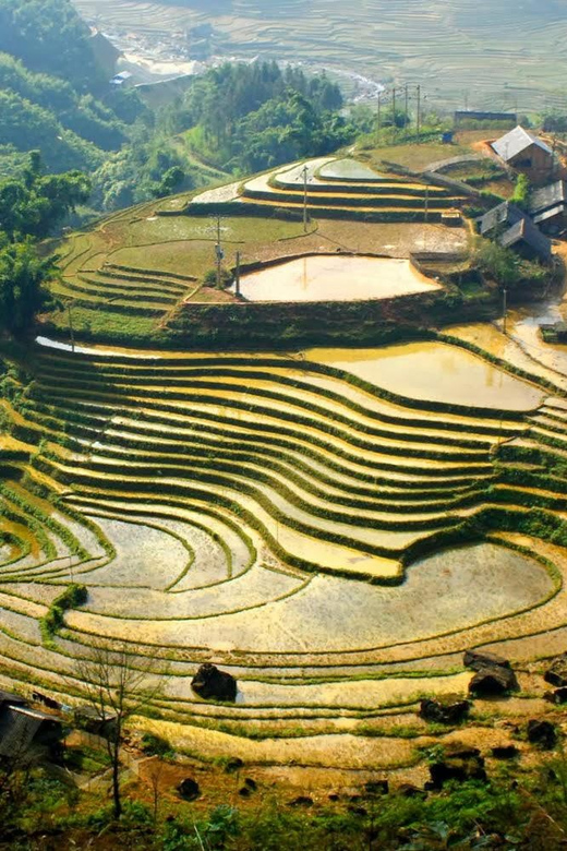 Hanoi: Sapa Trekking 2 Days 1 Night - VIP Bus From Hanoi - Experience Highlights