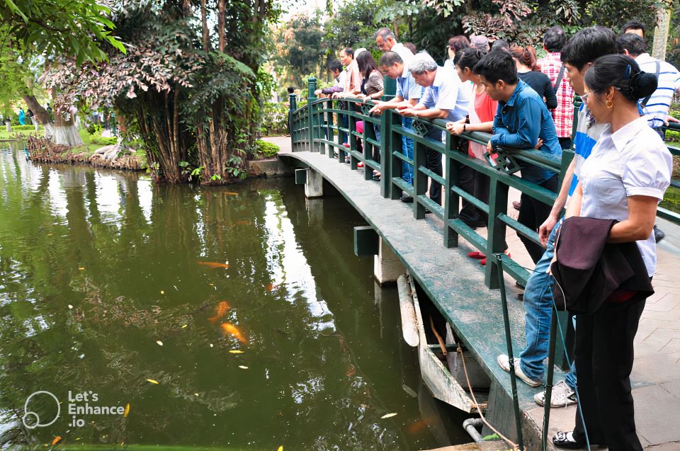 Hanoi Walking Street Food Tour With English Speaking Guide - Experience Highlights