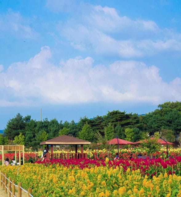 Hantan Canyon & Goseokjeong Flower Garden & Pink Muhly Park - Explore Hantan Canyon