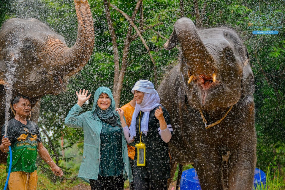 Happy Hour Shower With Elephant at Seaview Point - Pricing and Reservations