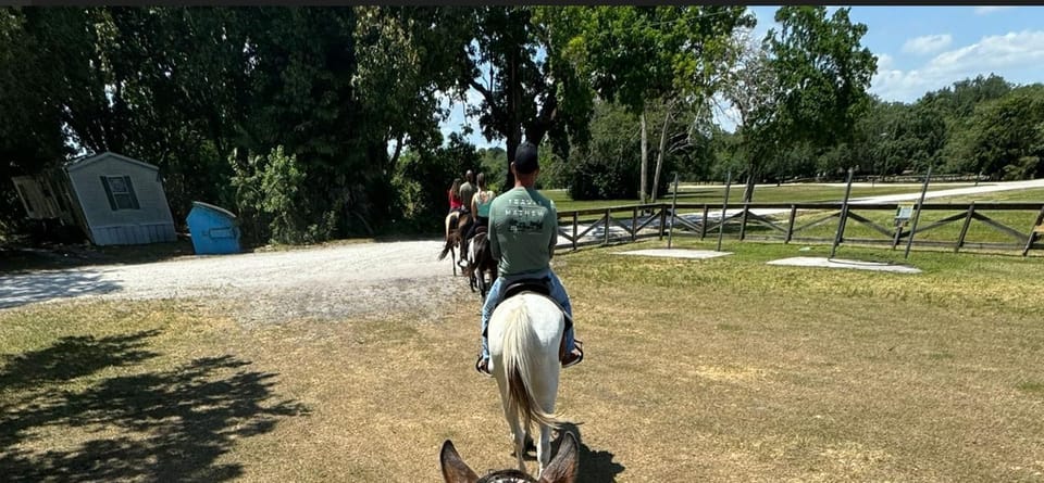 Harmony Horse Riding of Miami - Tour Experience