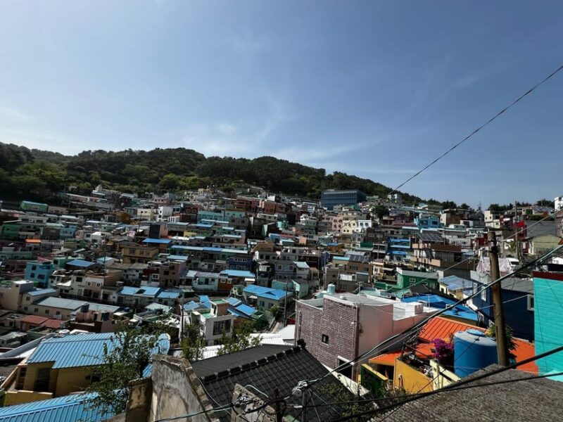 Hassel Free Seoul-Busan Highlight Tour (Ktx Ticket Included) - Inclusions