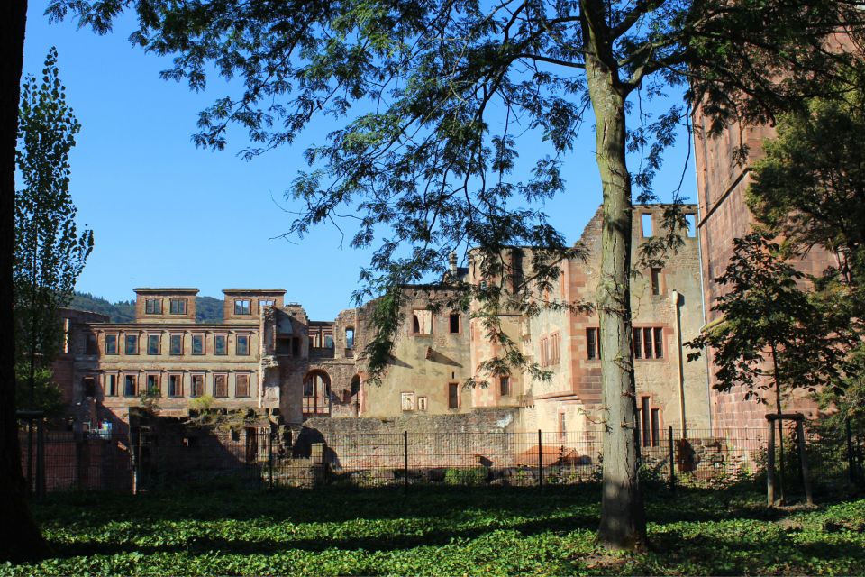 Heidelberg: First Discovery Walk and Reading Walking Tour - Itinerary Highlights