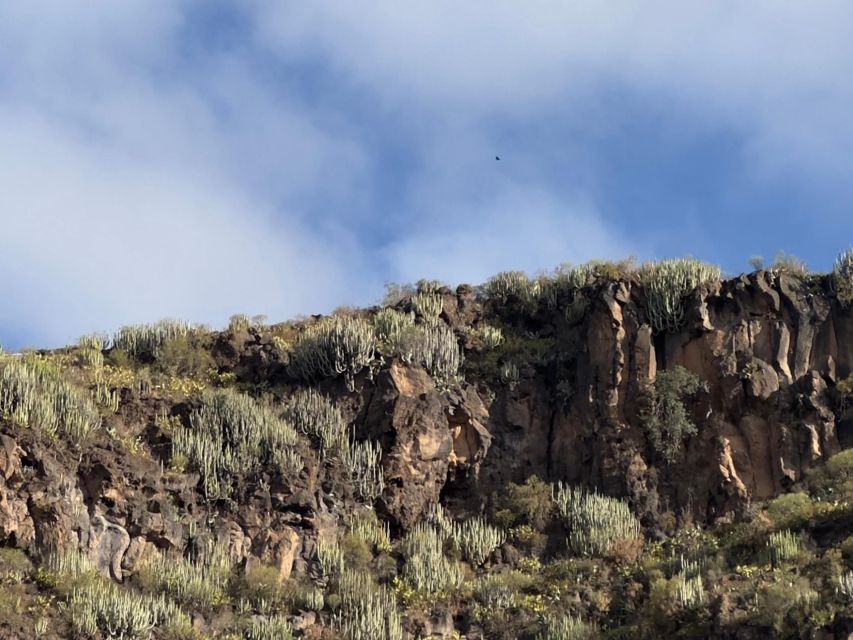 Hells Gorge Hike - Barranco Del Infierno - Booking and Availability