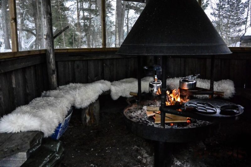 Helsinki: Arctic Hovercraft Experience With Lunch - Pricing and Duration