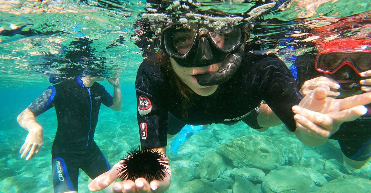 Heraklion: Beginner-Friendly Snorkeling Trip - Itinerary