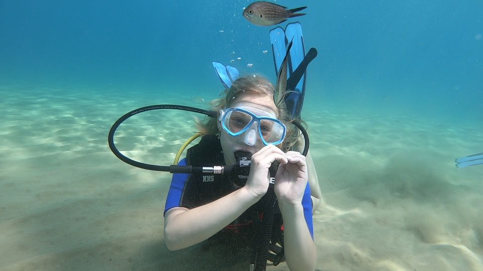 Heraklion: Beginner Scuba Diving Lesson With PADI Instructor - Lesson Duration and Pricing