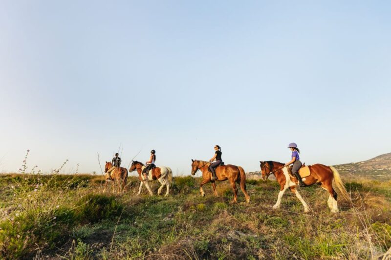 Heraklion: Horse Ride in the Cretan Mountains - Itinerary and Experience