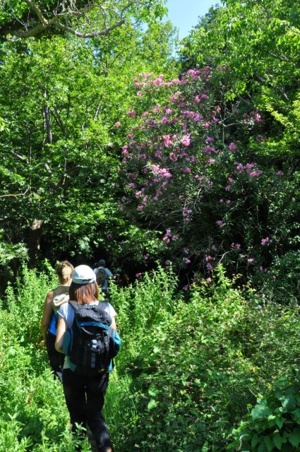 Heraklion: Private Tour to Rihti Waterfalls and Mochlos - Booking Information