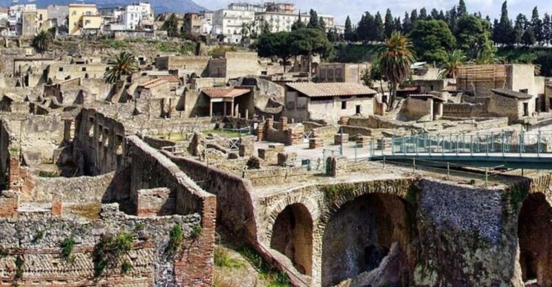 Herculaneum Private Tour From Naples - Historical Significance of Herculaneum