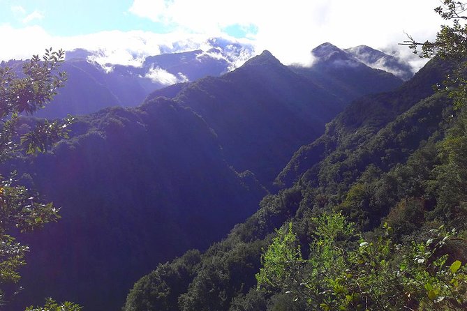 Hidden Corners: Levada Walk From Funchal - Hiking Experience