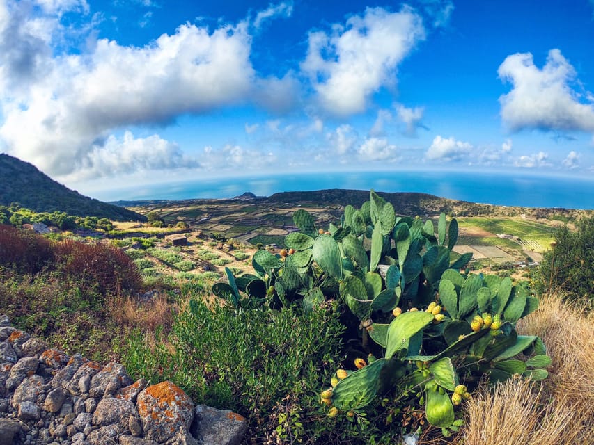 Hidden Pantelleria Tour - Included Services