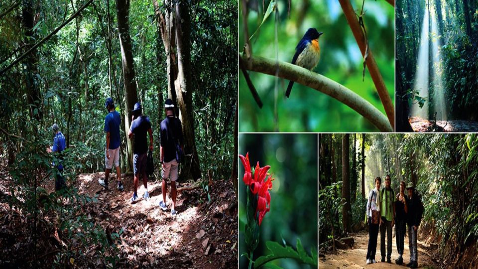 Highilghts Places in High Country of Sri Lanka (Kandy)By Tuk - Temple of the Tooth