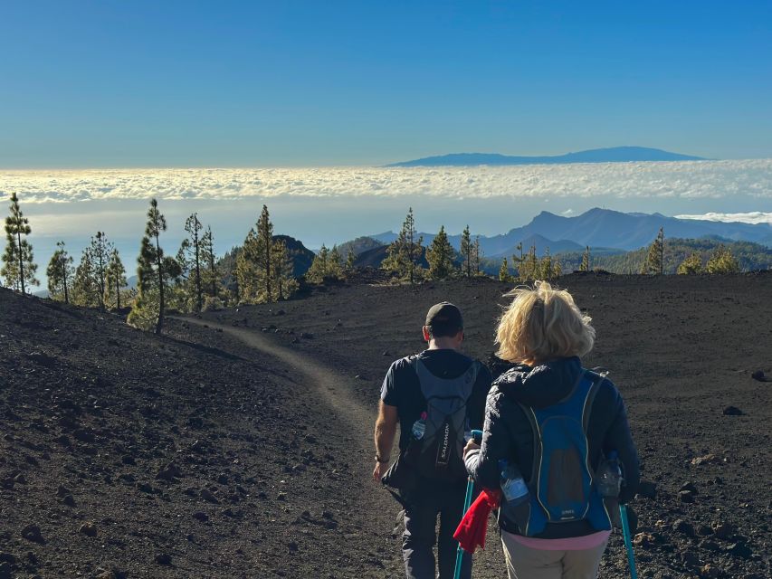 Hike Under Stars and Skywatching With Astronomer at Teide - Powerful Telescopes for Stargazing