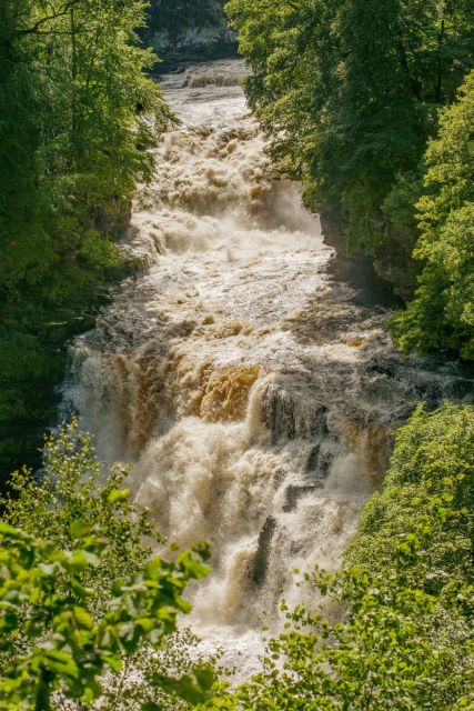 Hike World Heritage Reserve Waterfalls - Experience Highlights