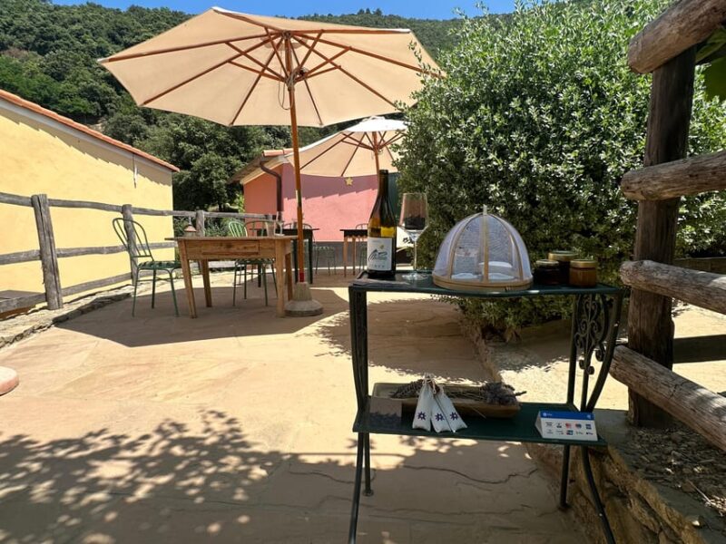 Hiking and Wine Tasting Experience - Itinerary Details