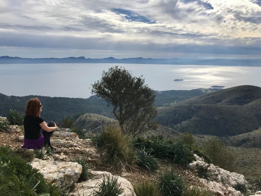 Hiking on Alcúdia Peninsula - Trail Description and Highlights