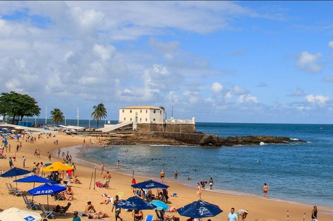 Historical and Cultural Full Day Tour, Salvador, Bahia, Brazil - Accessibility and Additional Information