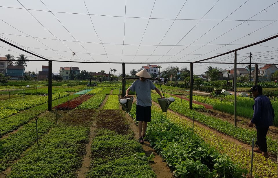 Hoi an Ancient Town and Traditional Village by Bicycle - Itinerary Highlights