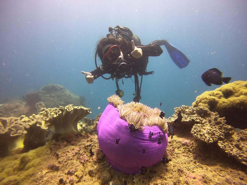 Hoi An: Cham Island Discover Scuba Dive for Beginner 1-Day - Detailed Itinerary