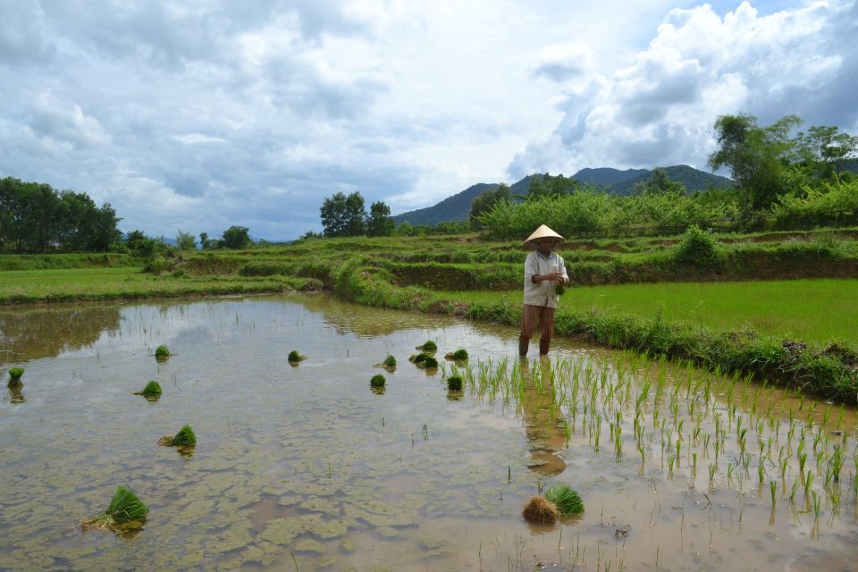 Hoi An Countryside Bicycle Tour : 25 Km Real Vietnam - Inclusions and Amenities