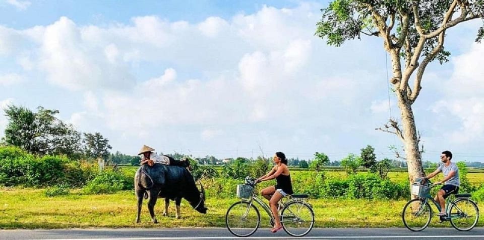 Hoi An Eco Bicycle Tour - Itinerary Highlights