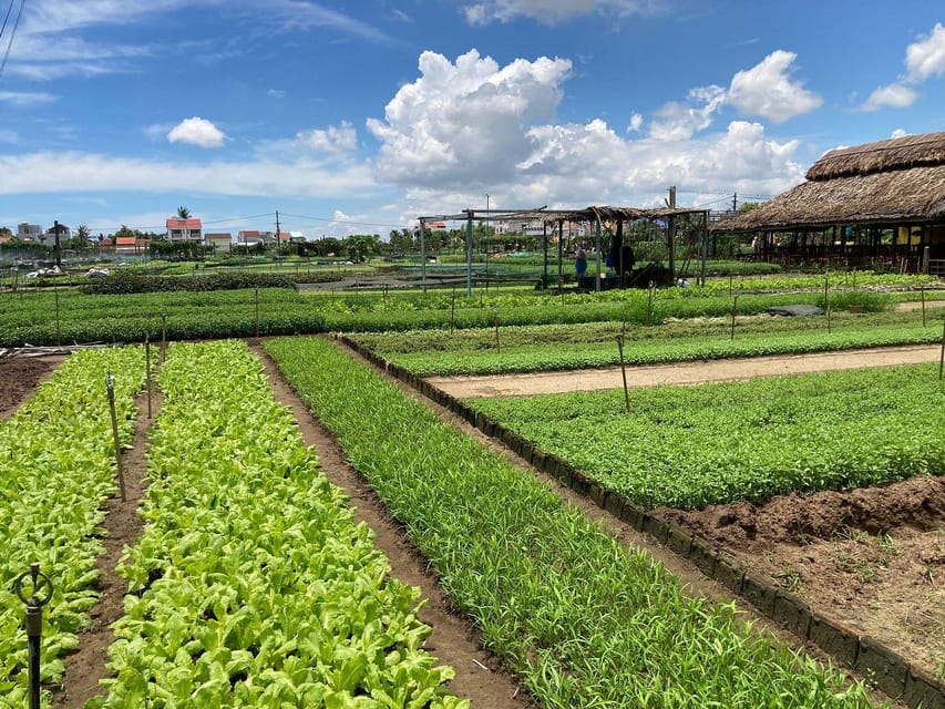 Hoi An: Farming and Fishing Tour With Basket Boat Ride - Itinerary Highlights