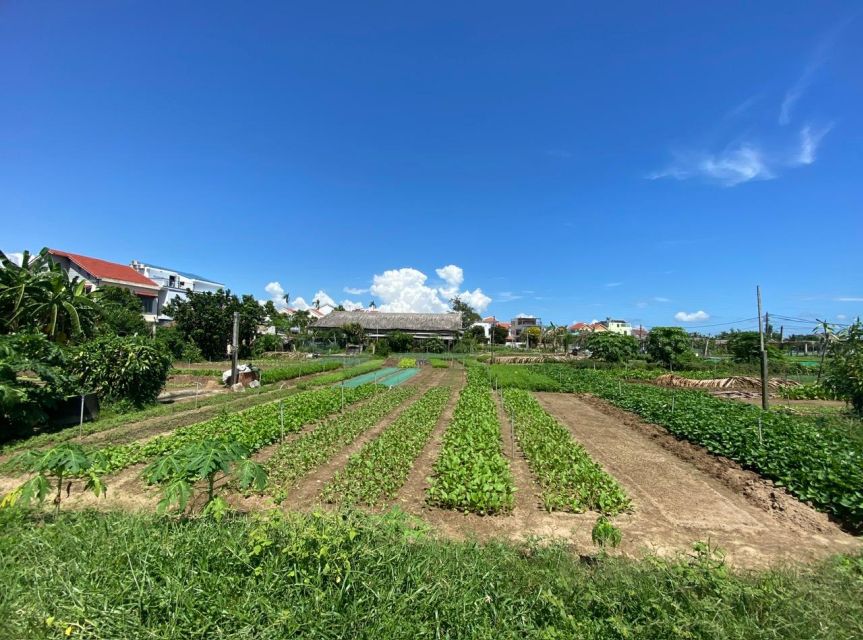 Hoi An: Rural Cycling Tour to Village With Basket Boat Ride - Experience Highlights