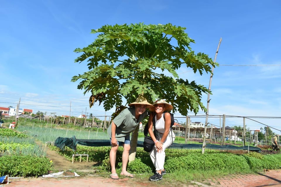 Hoi An Tour One Day With Nick - Activities Included